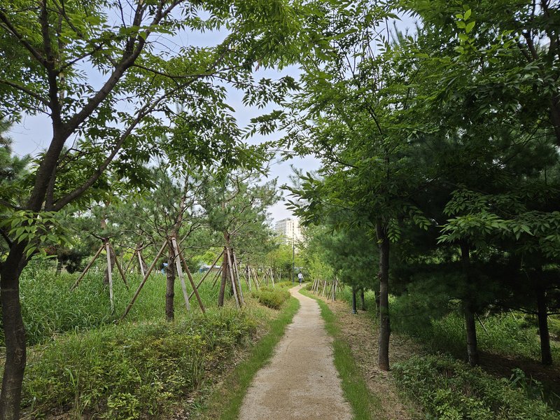 인천시 미추홀구에서 추진한 기후대응 도시숲 조성사업 현장