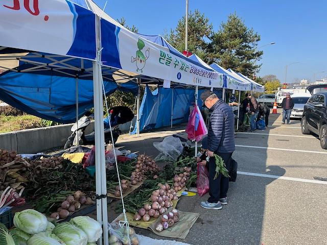 강화군 농산물 김장시장 관련 사진