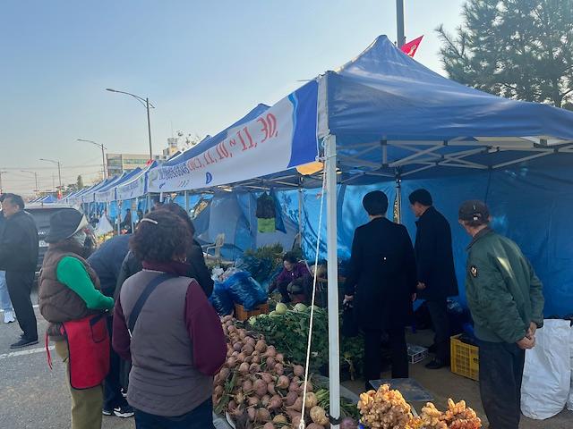 강화군 농산물 김장시장 관련 사진