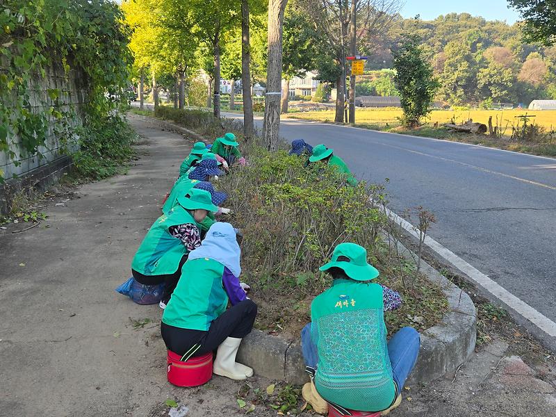 강화군 불은면 부녀회원들이 나들길 2코스 광성보~덕진진 구간 도로변 화단에서 제초 작업을 하고 있다.