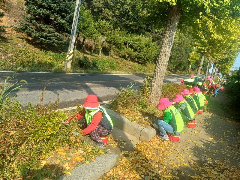 불은면 농가주부모임 회원들이 광성보에서 덕진진까지 이어지는 인도 화단을 정비하고 있다.