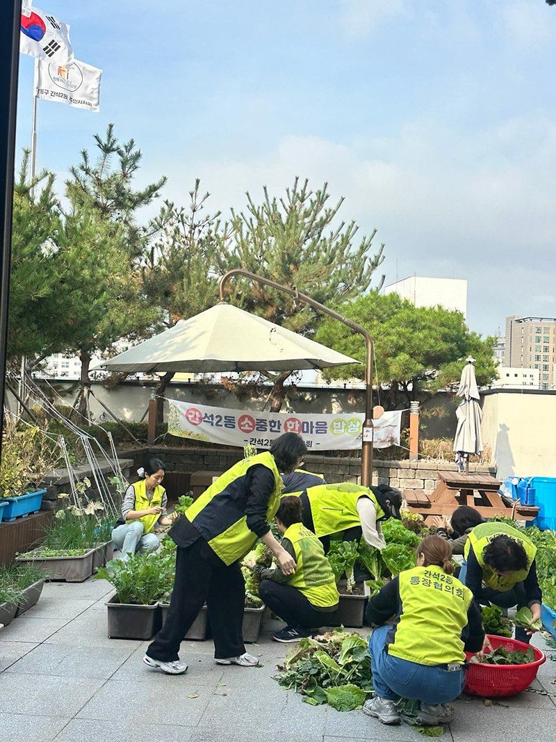간석2동 통장들이 텃밭에서 기른 채소로 생신상 음식을 준비하고 있다.