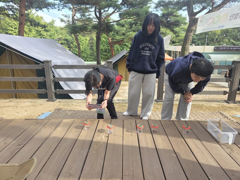 국화리학생야영장에서 자연을 관찰하고 있는 학생들. 인천시교육청 제공
